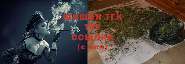 гидра Алексеевка