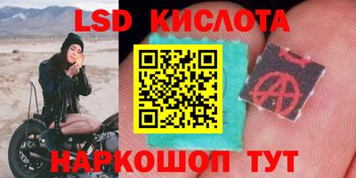 a pvp Гагарин